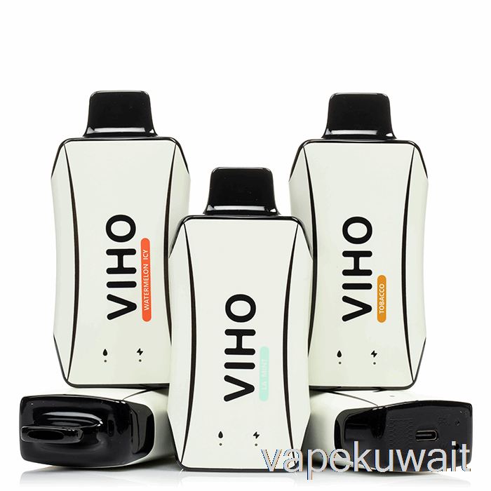 فيهو توربو 10000 الجنس القابل للتصرف على الشاطئ نظام Vape Pod